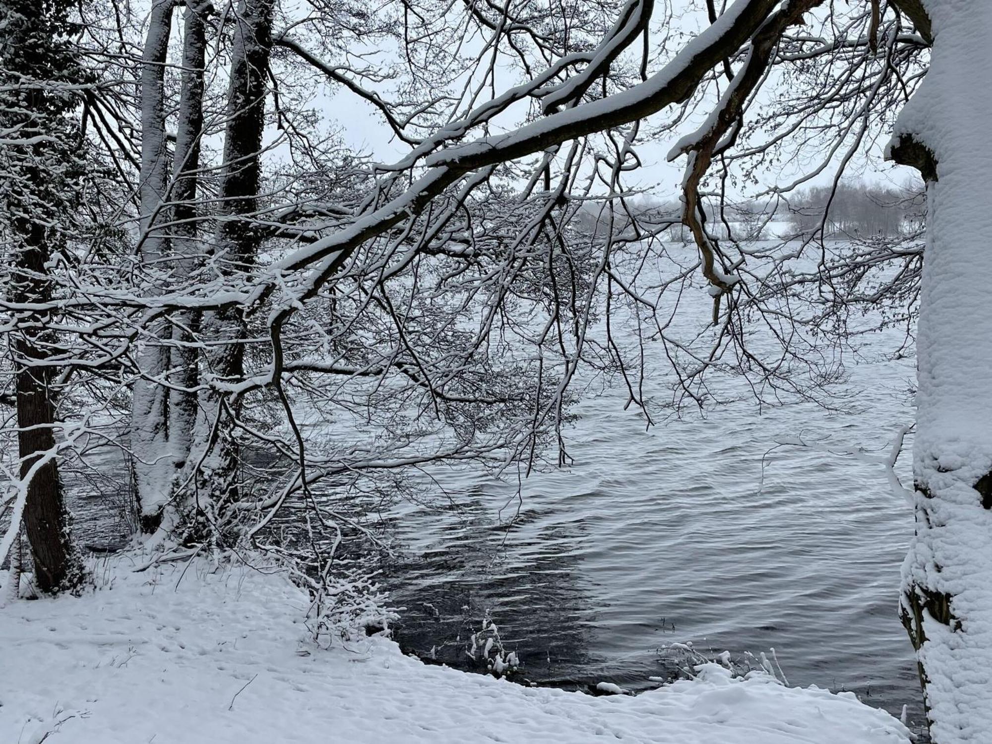 Flat In Eutin On The Kleiner Eutiner See Lake Екстер'єр фото
